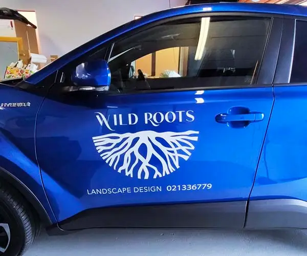 vehicle graphics